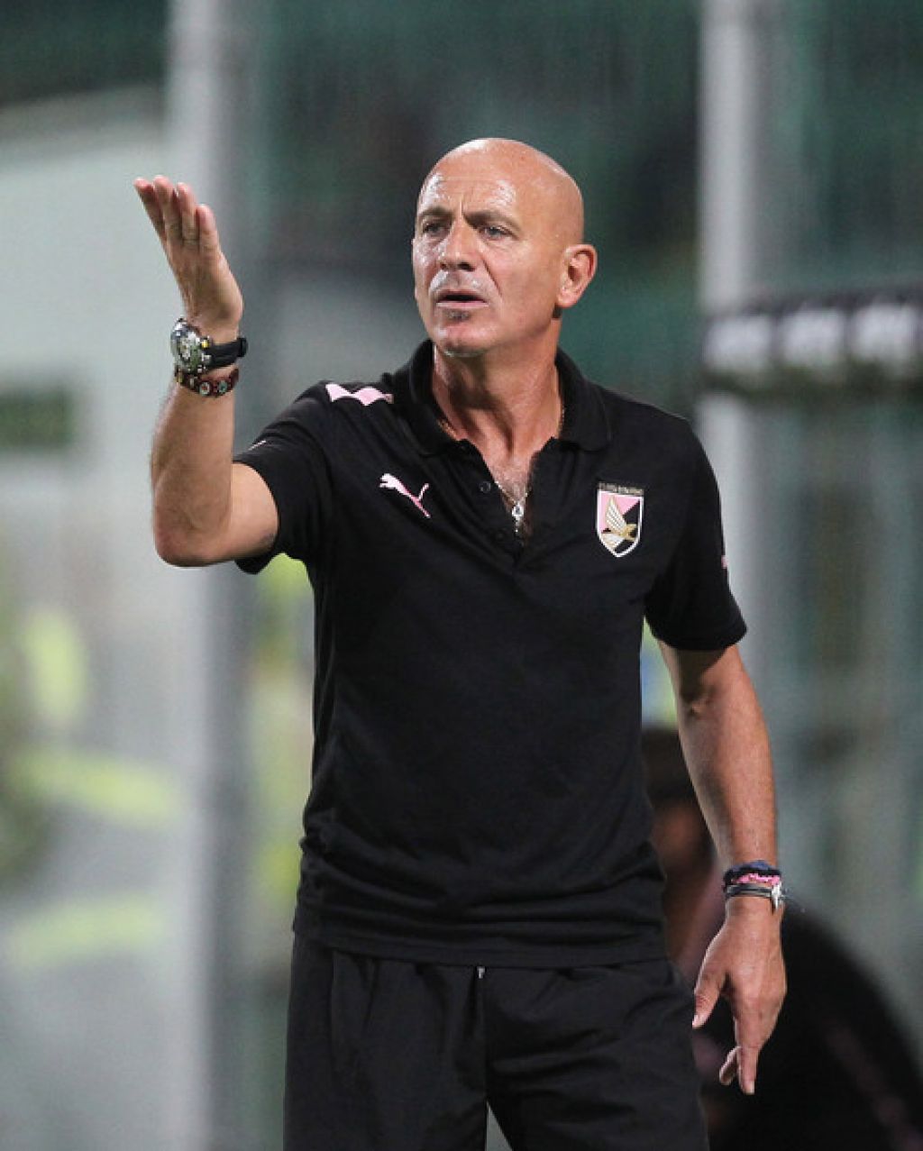 Palermo odpustil Sannina, zmagovita vrnitev Handanovića